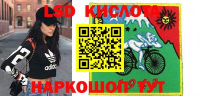 крисы Краснодар