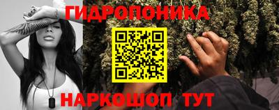 гидропоника Краснокаменск