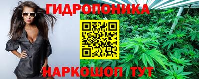 гидропоника Краснокаменск