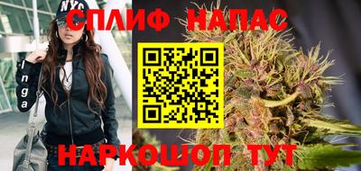 СК Краснознаменск
