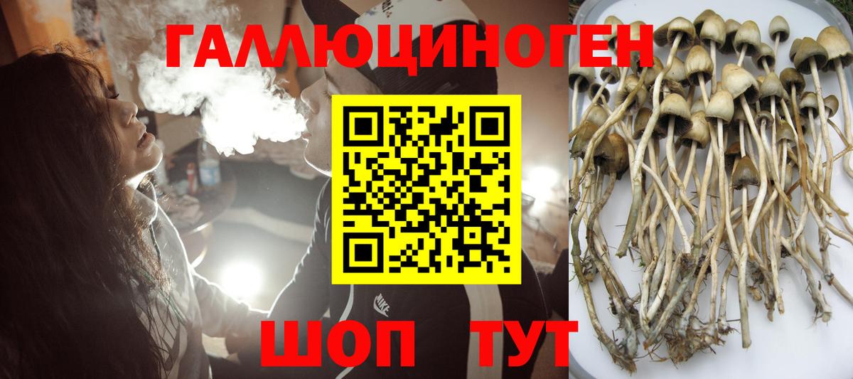 Тула  Псилоцибиновые грибы Magic Shrooms  Вход с VPN 